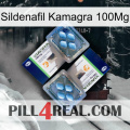 Sildenafil Kamagra 100Mg viagra5